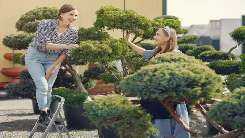 How to Design a Beautiful and Practical Landscape